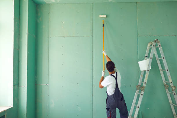 Best Mold Remediation for Healthcare Facilities  in South Wallins, KY