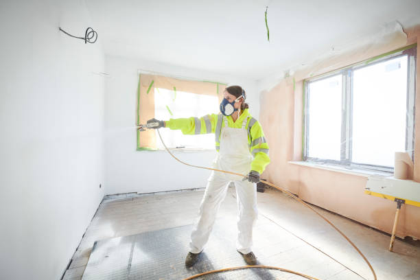 Best Mold Prevention Services  in South Wallins, KY