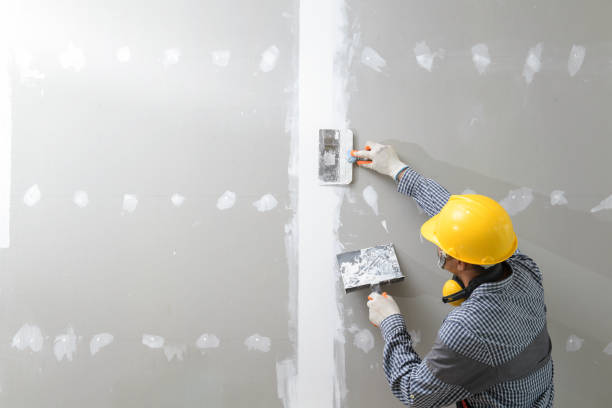 Best Residential Mold Inspection & Testing  in South Wallins, KY