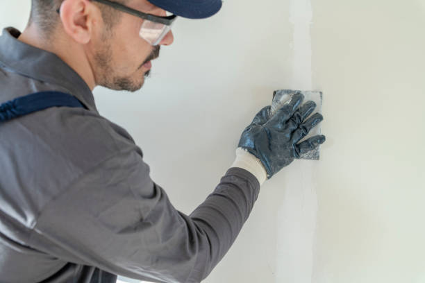 Best Emergency Mold Remediation  in South Wallins, KY