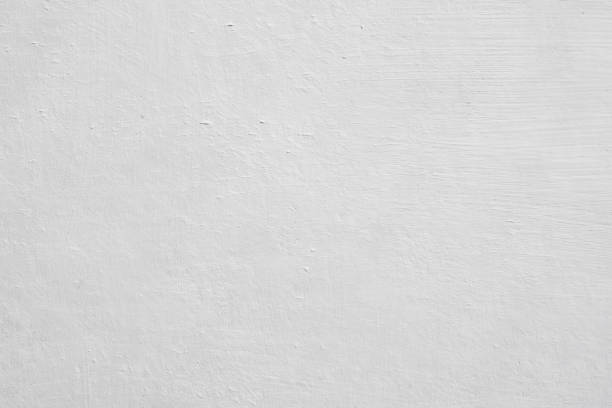 Best Biohazard Mold Removal  in South Wallins, KY