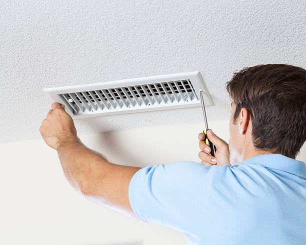 Mold Removal for HVAC Installations in South Wallins, KY