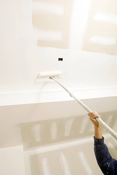 Best Industrial Mold Remediation  in South Wallins, KY