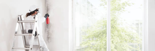 Best Indoor Air Quality Assessment  in South Wallins, KY