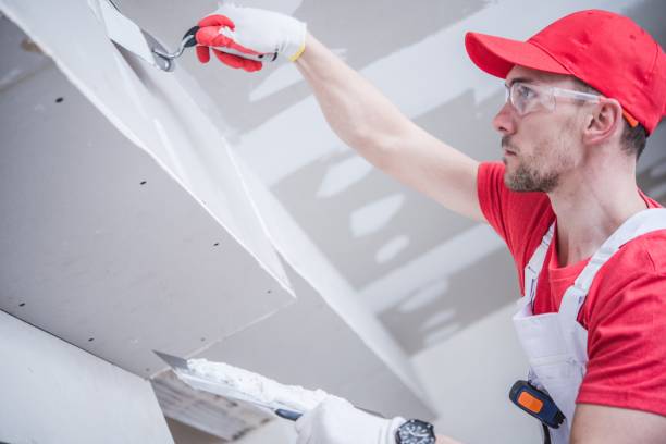 Best Mold Damage Restoration  in South Wallins, KY