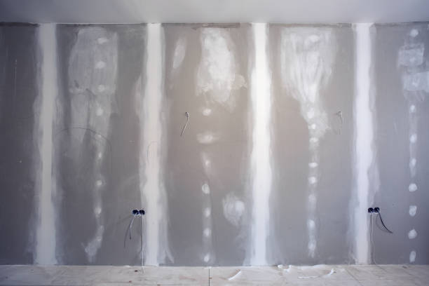Best Mold Removal for HVAC Installations  in South Wallins, KY